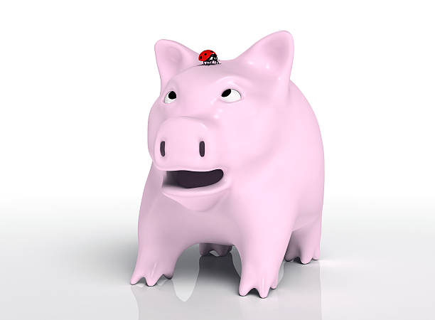 istock Surprised piggy bank with ladybug on head 462654249