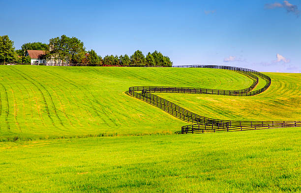 istock Horse farm fences 462667813