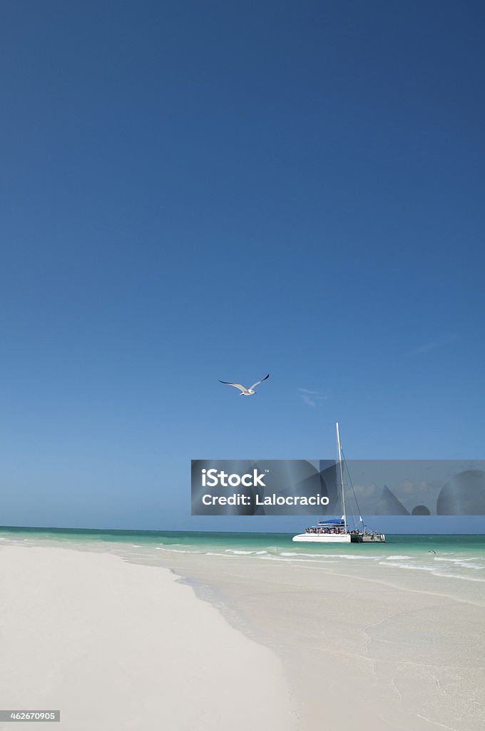 Playa Caribe. - Foto de stock de Agua libre de derechos