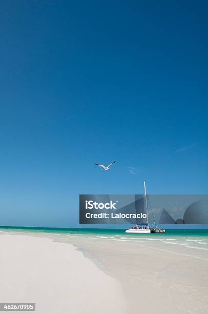 Playa Caribe Foto de stock y más banco de imágenes de Agua - Agua, Aire libre, Azul turquesa