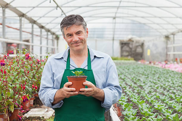 istock Garden center worker holding potted plant 462672433