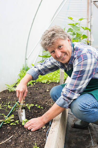 istock Cheerful man planting shrubs 462675979