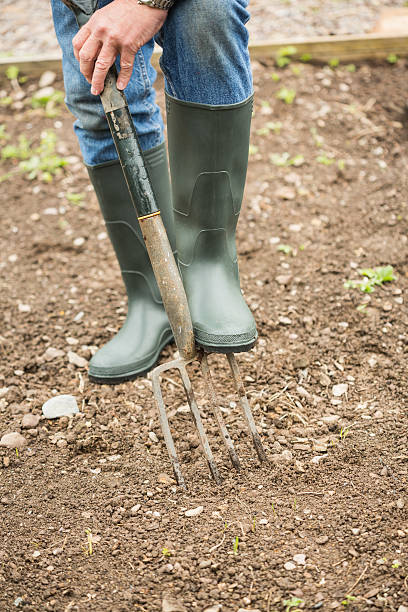 istock Close up of a gardener using his pitchfork 462676483