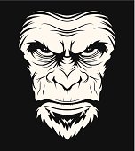 istock Angry ape head 462680617