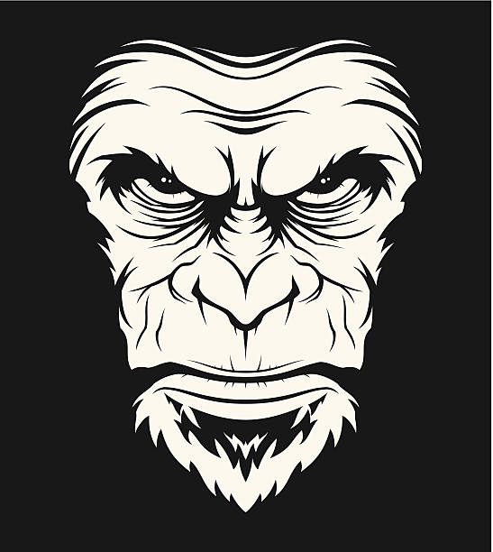 Angry ape head Angry ape head (ready for plotter cutting). angry monkey stock illustrations