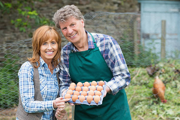 istock Happy mature couple holding eggs 462681105