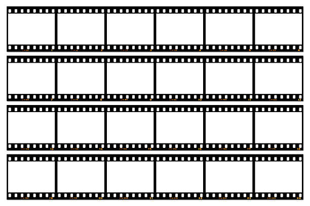 Slide film contact sheet on white Twenty-four frame empty horizontal contact sheet - four strips of 35 mm slide film, each with six blank, numbered frames. High resolution file. Soft shadow. contact sheet stock pictures, royalty-free photos & images