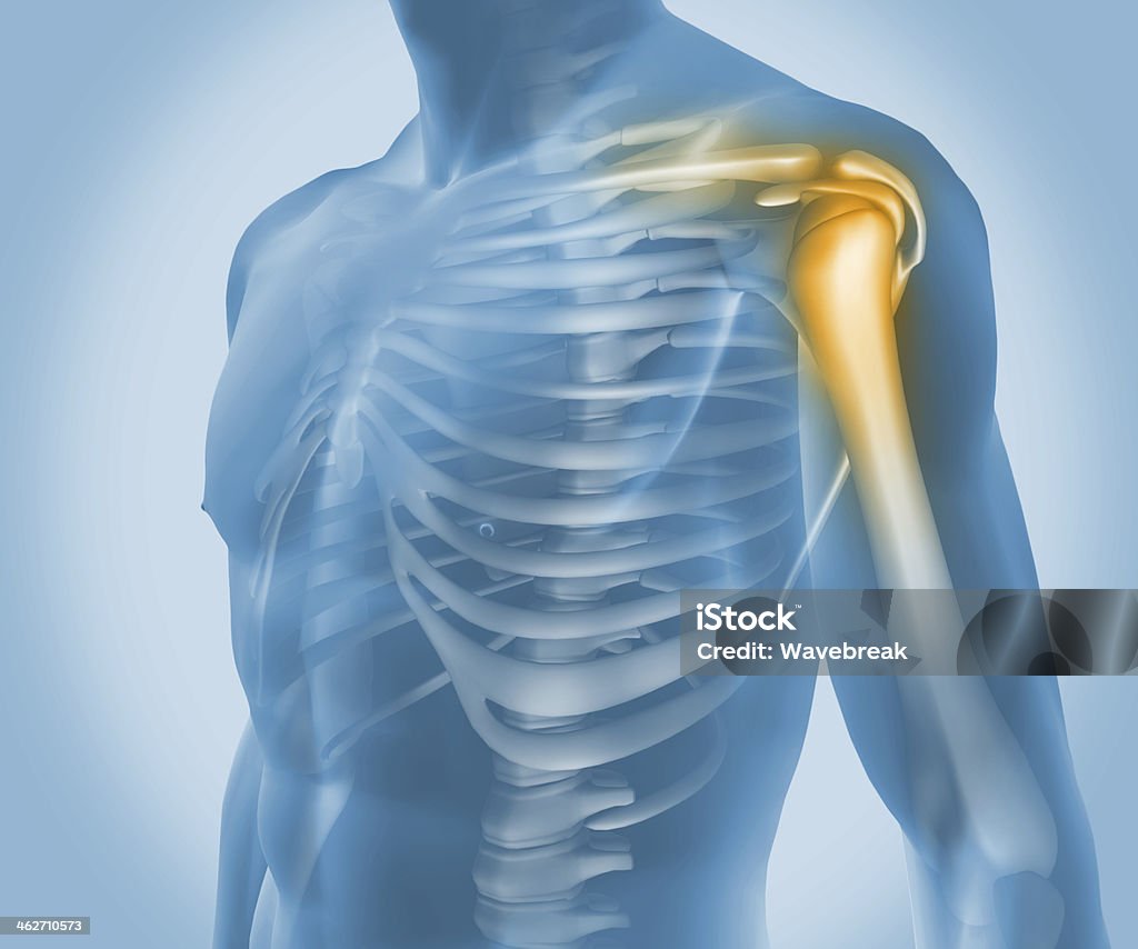 Highlighted shoulder joint of digital human Highlighted shoulder joint of digital human in blue Computer Graphic Stock Photo