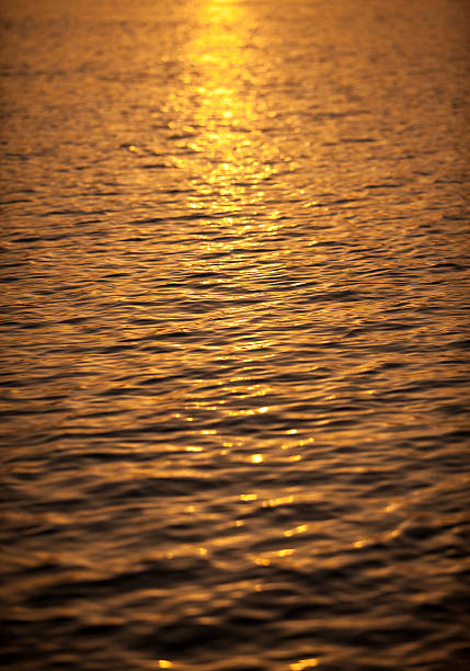 istock Sun reflections in the sea 462715353