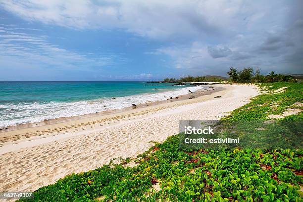 White Sand Beach Of Makalawena On The Big Island Hawaii Stock Photo - Download Image Now