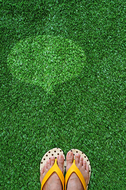 istock step on grass with blank area to fill in text. 462750535