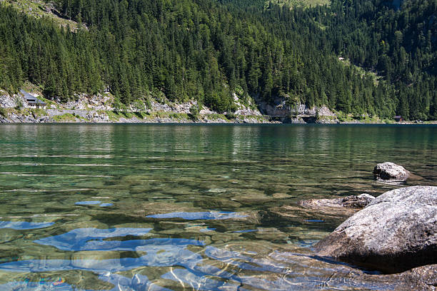 istock Summer view of lake Gosausee , Austria 462754457