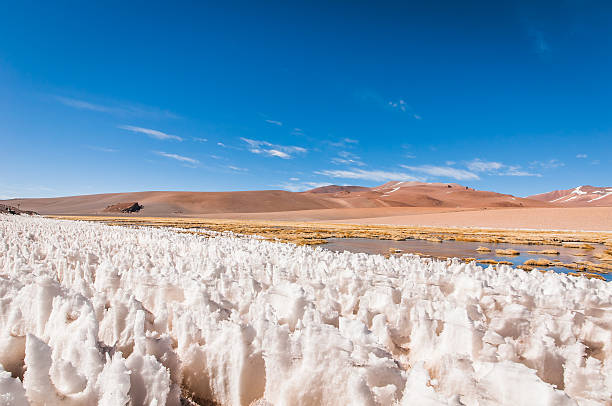 Lago fría, región de Atacama - foto de stock