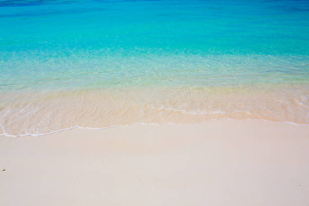 istock beach and tropical sea 462757277