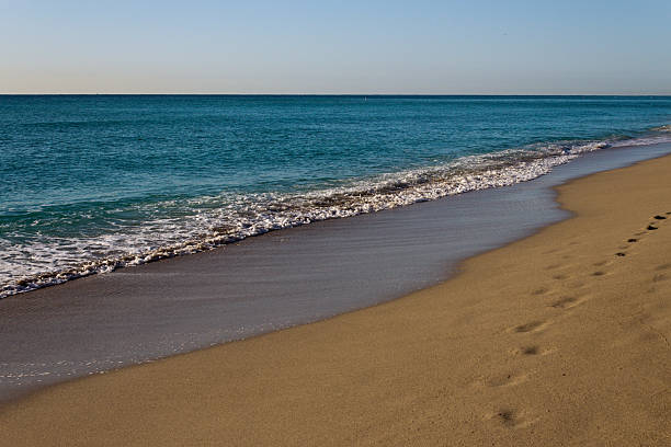 istock Footsteps on a golden, sandy beach 462757471