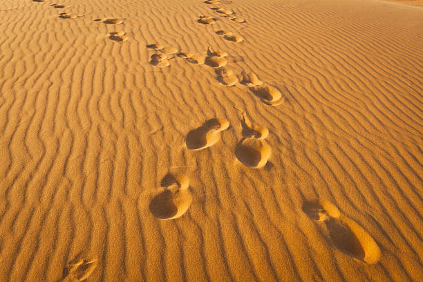 Couple shadow on sand dune and footstep walk far on the top