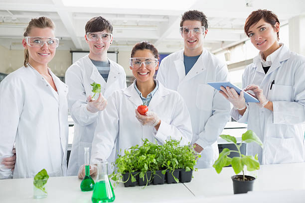 istock Biology students with plants a tomato 462770529