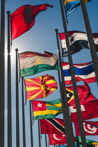 Flags inside Vienna International Centre.