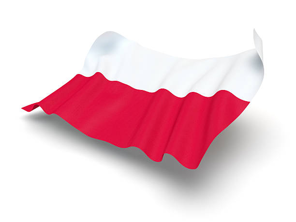 istock Hovering Flag of Poland (Clipping Path) 462773289