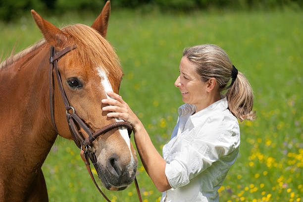 istock woman stroking her horse 462775955