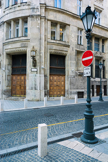 istock Street with lamppost in Budapest, Hungary 462778057