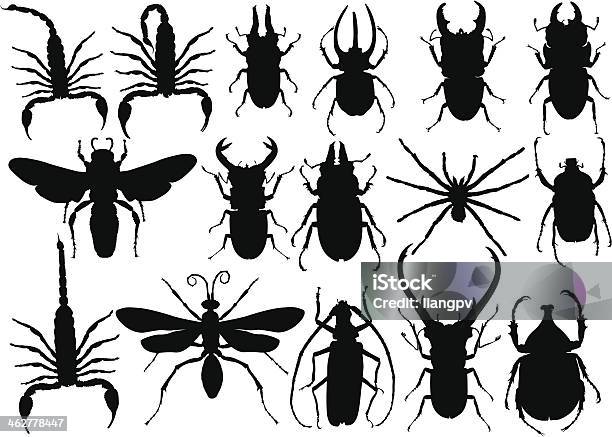 Insetto - Immagini vettoriali stock e altre immagini di Scorpione - Aracnide - Scorpione - Aracnide, Coccinella, Coleottero