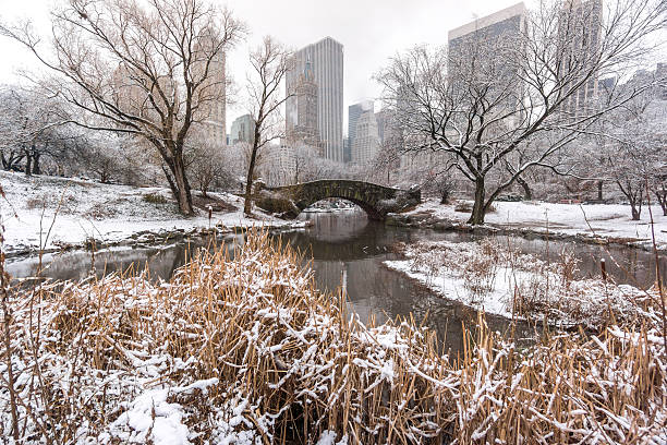 istock Gapstow bridge Central Park, New York City 462779493