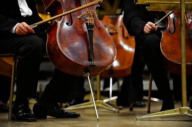 Photo of Orchestra Prepares