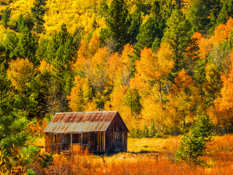 A rustic cabin in the Sierra Nevada mountains surronded by fall colors.