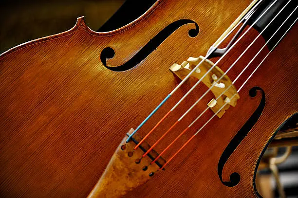 Detail of a double bass string music instrument