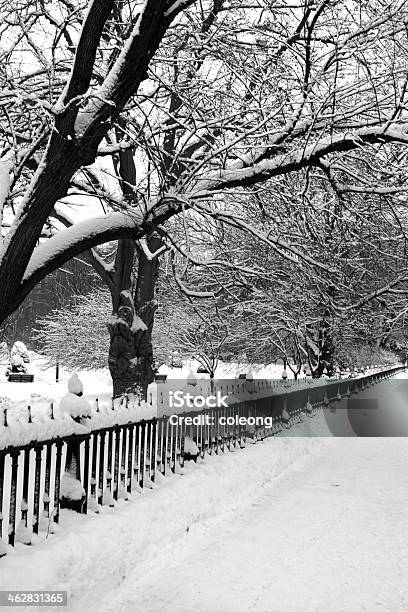 Boston Zima - zdjęcia stockowe i więcej obrazów Architektura - Architektura, Asfalt, Beacon Hill