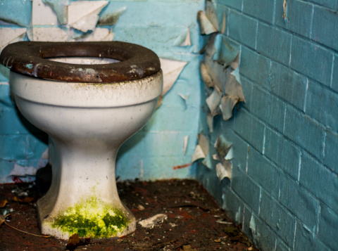 an old filthy toilet in a derelict building