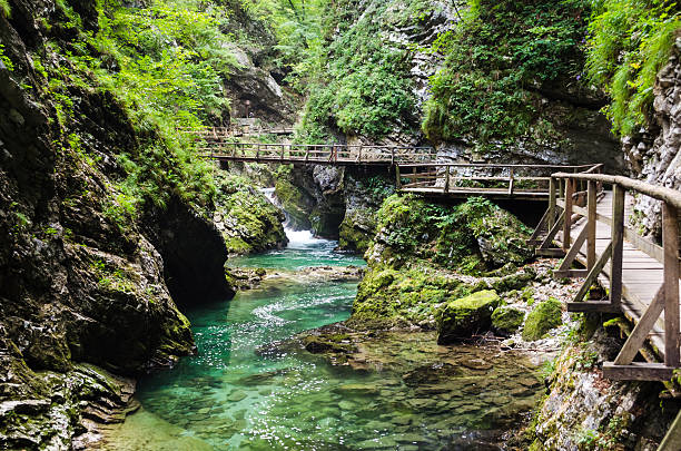 istock Vintgar Gorge, Slovenia 462836763
