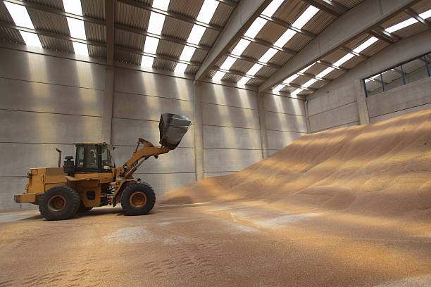 istock bulldozer, silo, yellow, warehouse, heavy industry 462844201