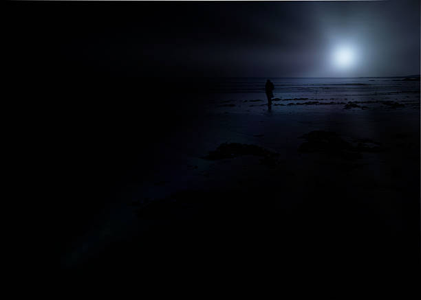 istock Lonely shore - woman on beach at night 462844473