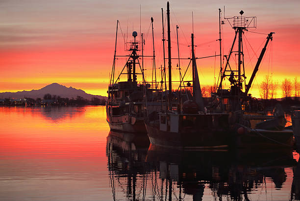 istock Fishing Fleet Sunrise, Steveston 462847799