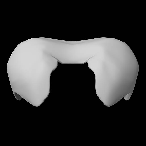 istock 3d rendered illustration of a diaphragm 462850725