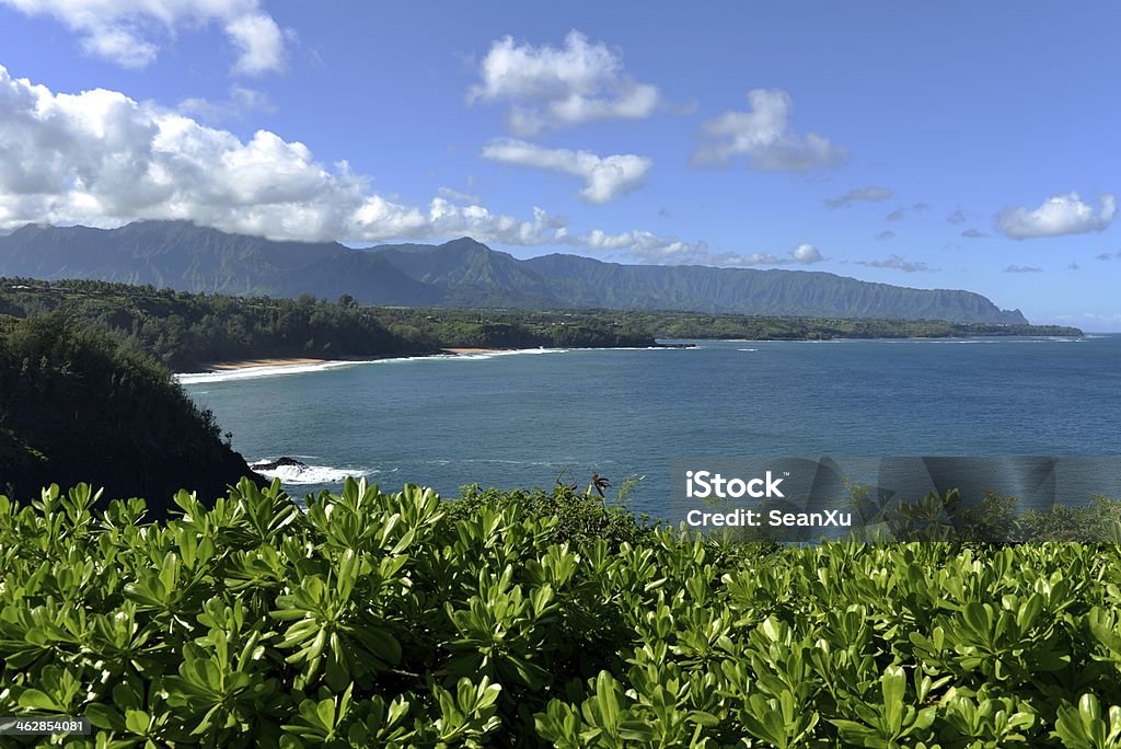 North Shore-Kauai - Lizenzfrei Ansicht aus erhöhter Perspektive Stock-Foto