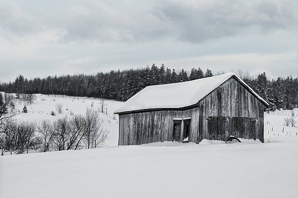 istock Canadian Old barn in a winter landscape 462858537