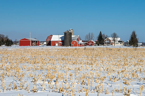 istock Canadian Farm in Winter 462861965