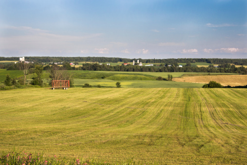 View of a fresh cut cultivated land with a red wagon and farms on background