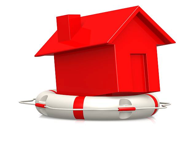 istock Life buoy with red house 462863349