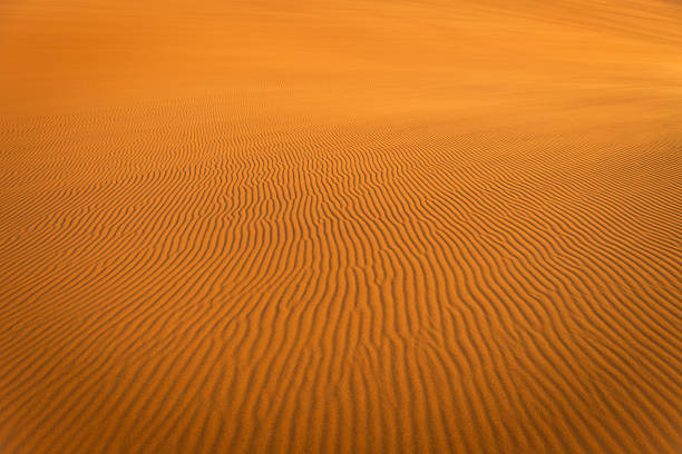 istock Sand in Erg Chebbi Desert, Morocco, Africa 462866521
