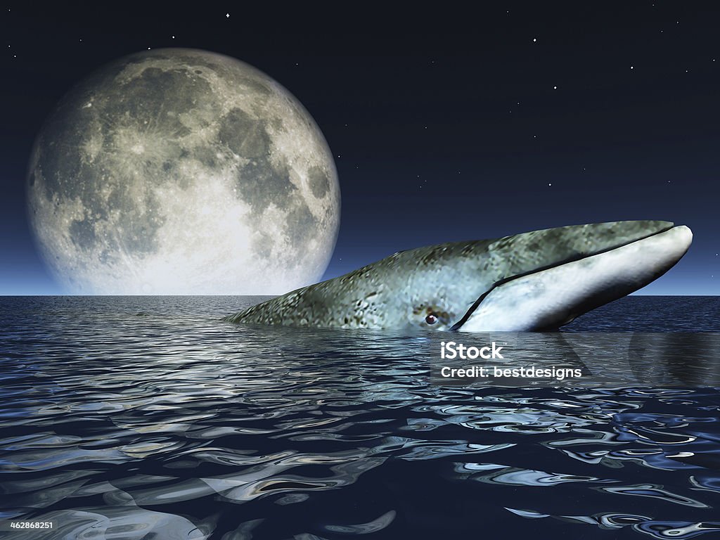 Ocean moon Whale on oceans surface with full moon Animal Stock Photo