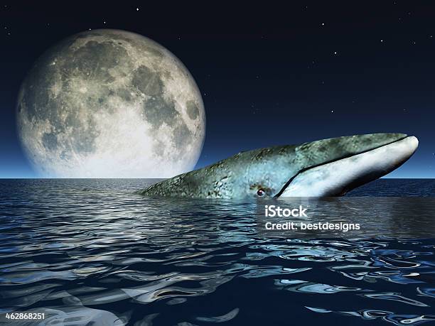 Ocean Moon Stock Photo - Download Image Now - Animal, Animal Wildlife, Animals In The Wild