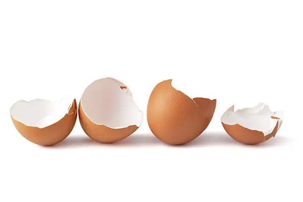 Photo of Broken egg shells