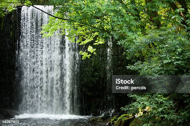 Waterfall Stock Photo - Download Image Now - Backgrounds, Beauty In Nature, Branch - Plant Part