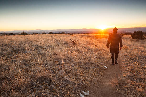 istock solo walking man sunset landscape 462872527