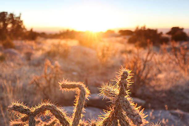 istock sunshine southwest landscape 462872653