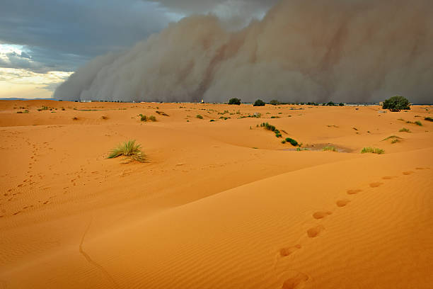 istock Sandstorm Approaching Merzouga Settlement, Morocco, Africa 462872857